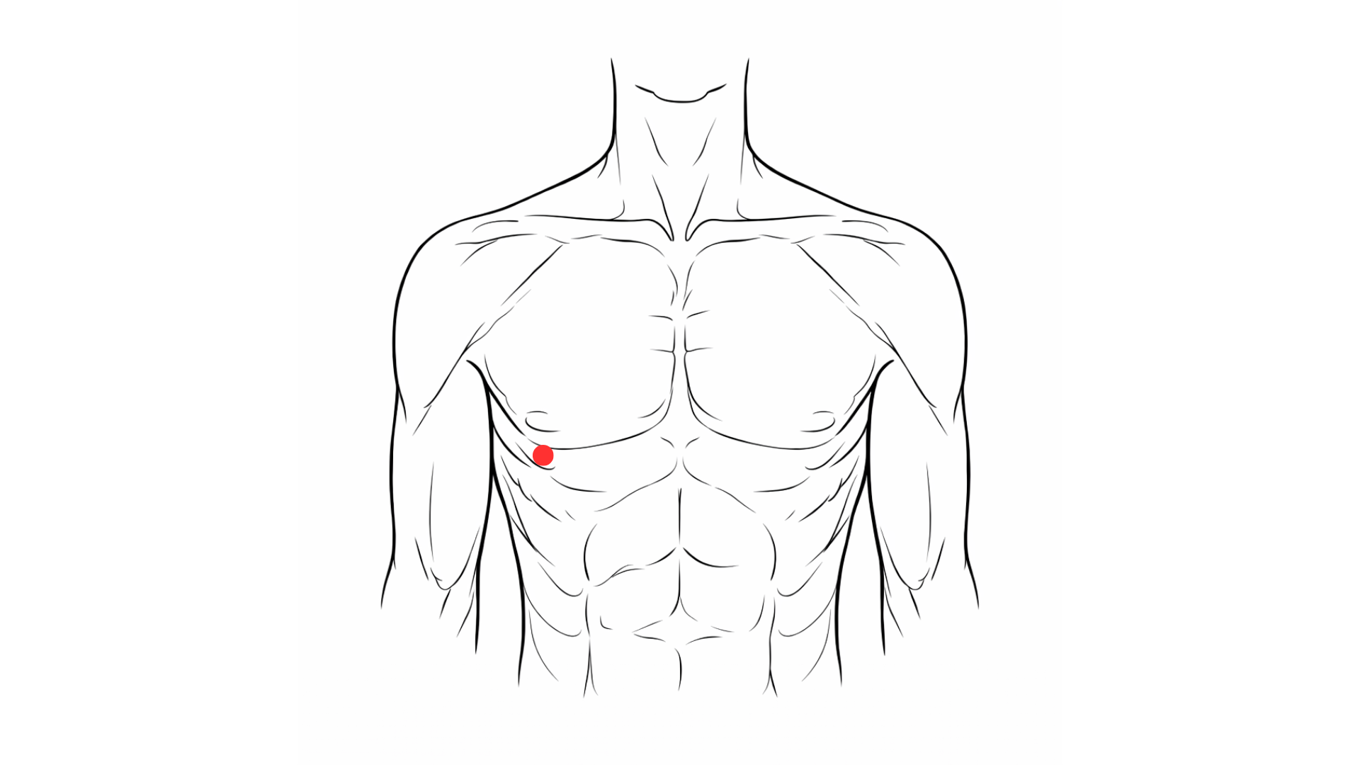 Localisation du point Estomac 18 Rugen situé sous le mamelon dans le 5ᵉ espace intercostal en médecine chinoise