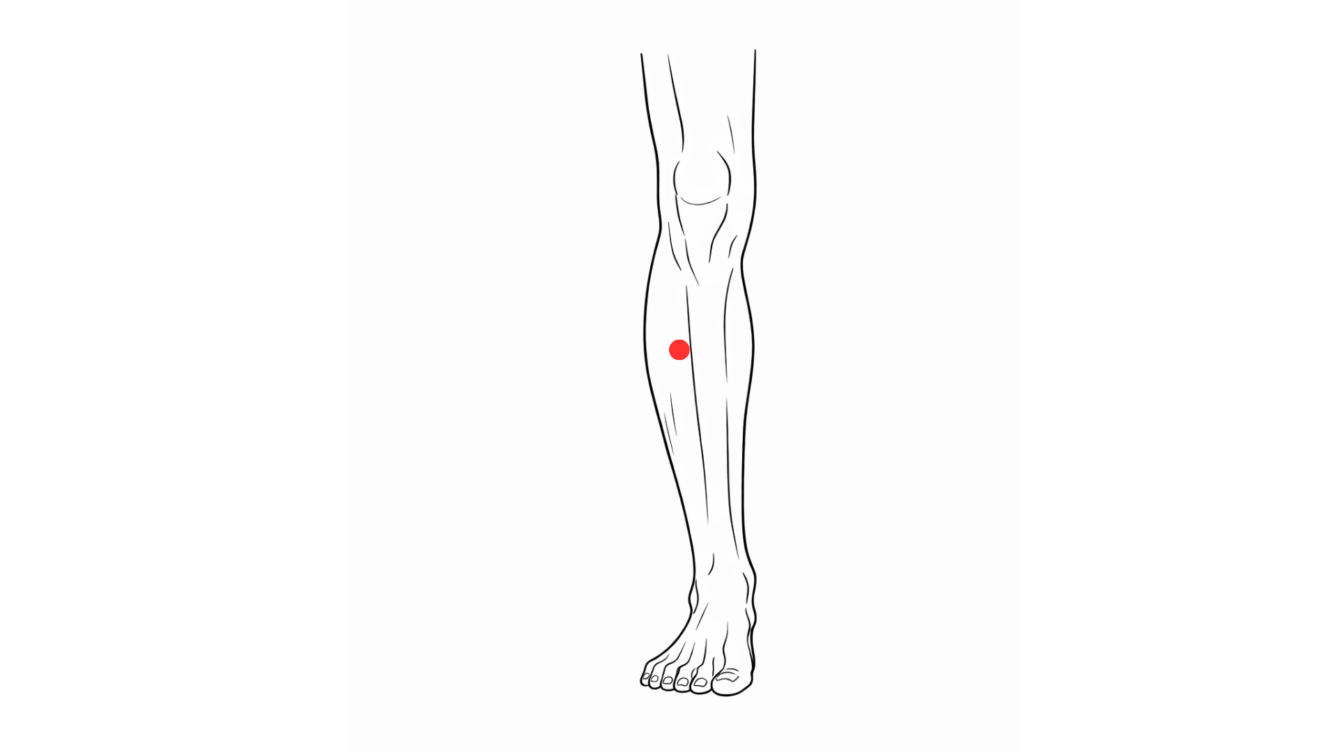 point acupuncture trouble selles shangjuxu estomac 37