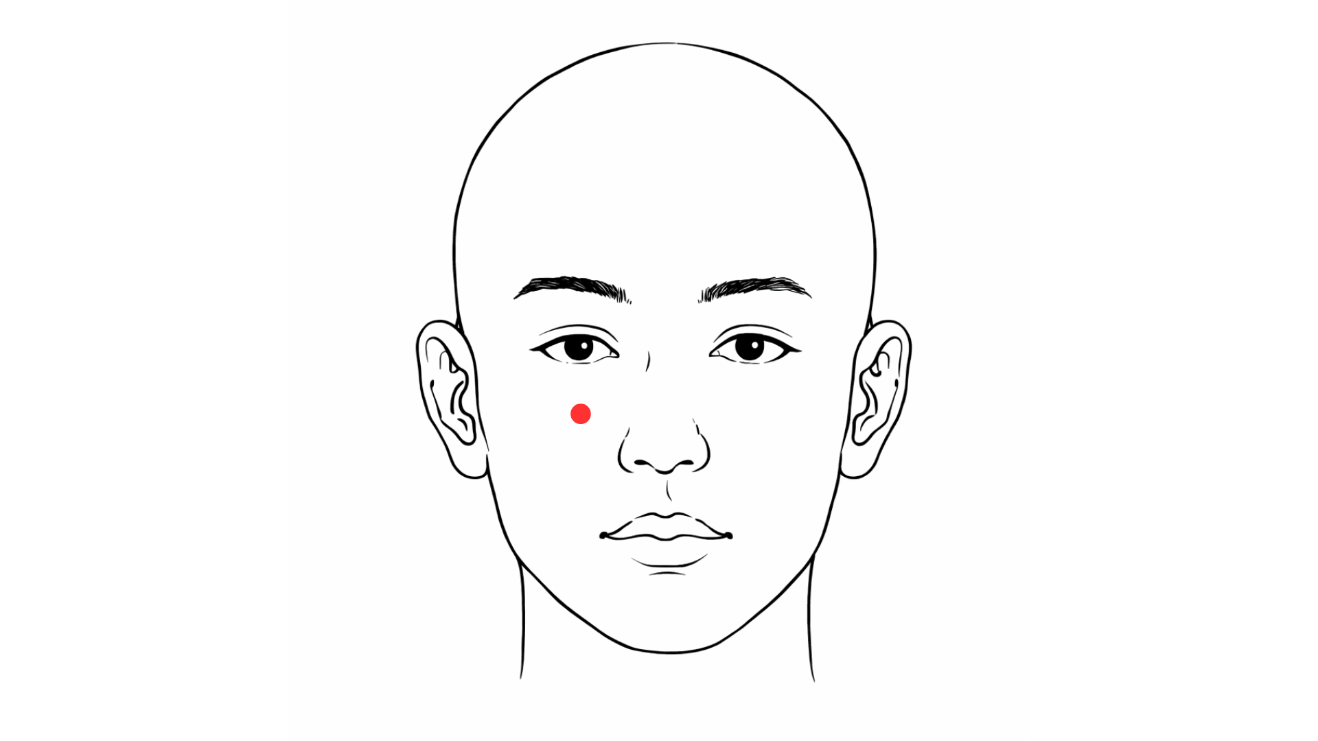 point acupuncture fatigue oculaire localisation sibai estomac 2 médecine chinoise