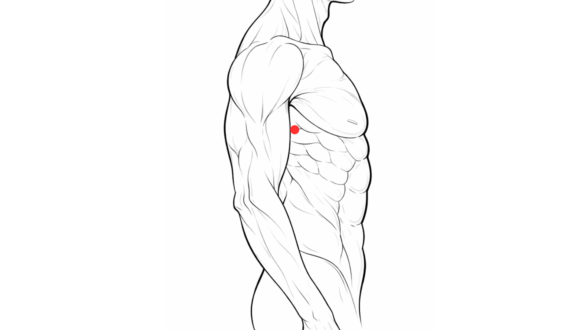 point acupuncture fibromyalgie dabao rate 21