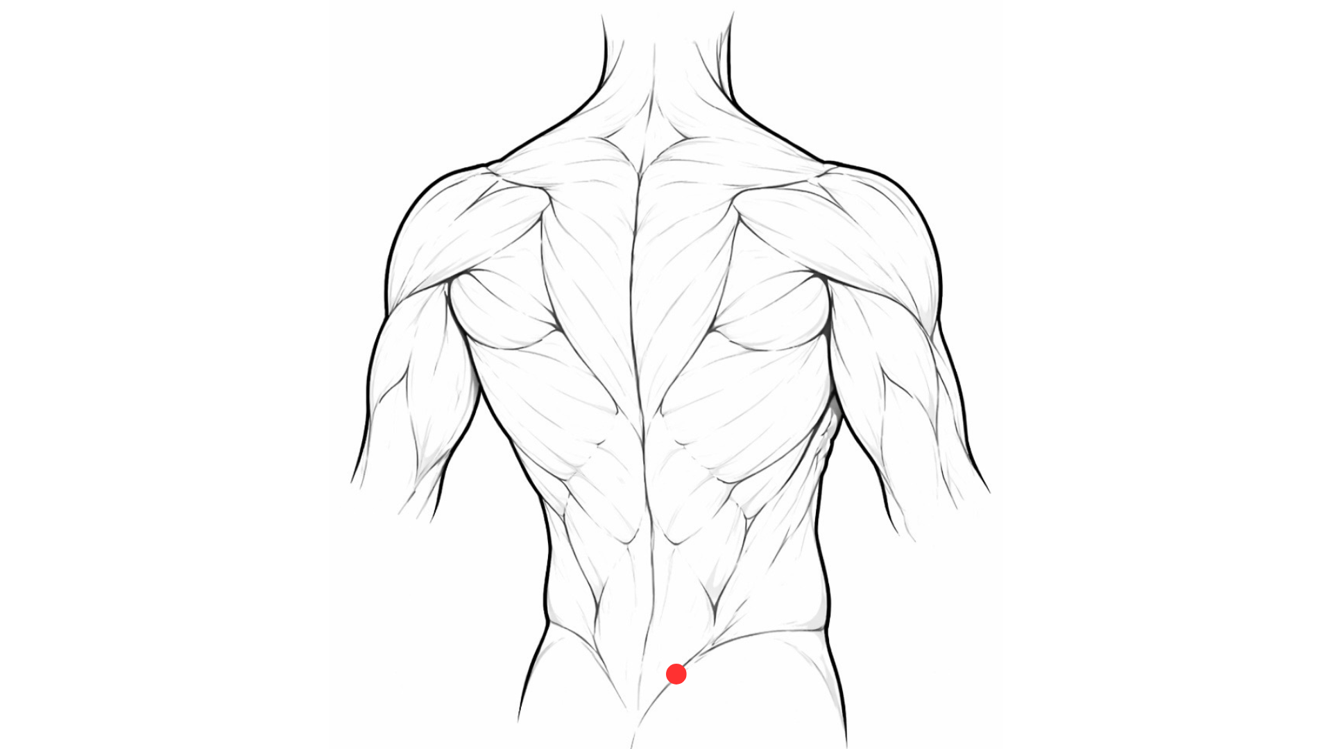 Point d’acupuncture 27V Xiaochangshu localisation sacrum intestin grêle médecine chinoise