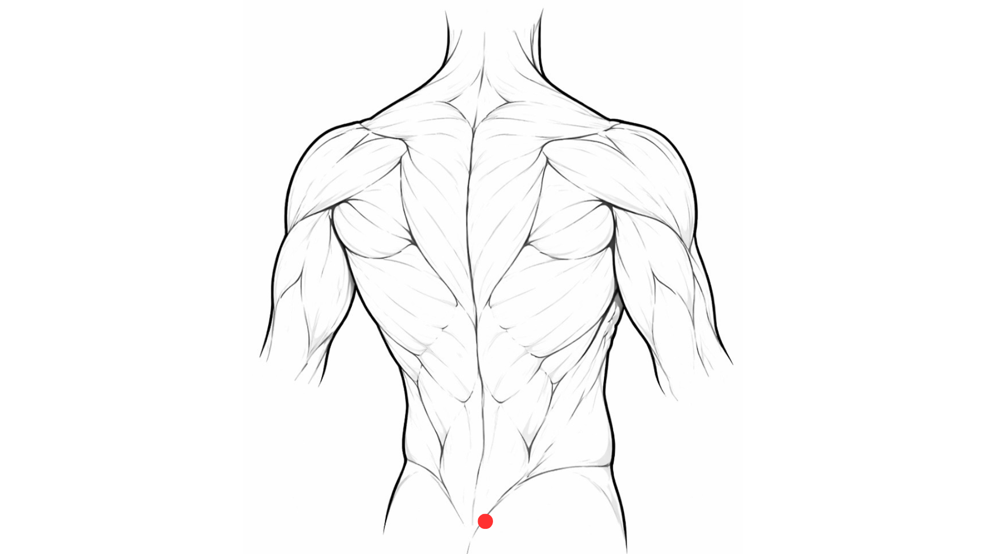 Point d’acupuncture 32V Ciliao localisation sacrum médecine chinoise