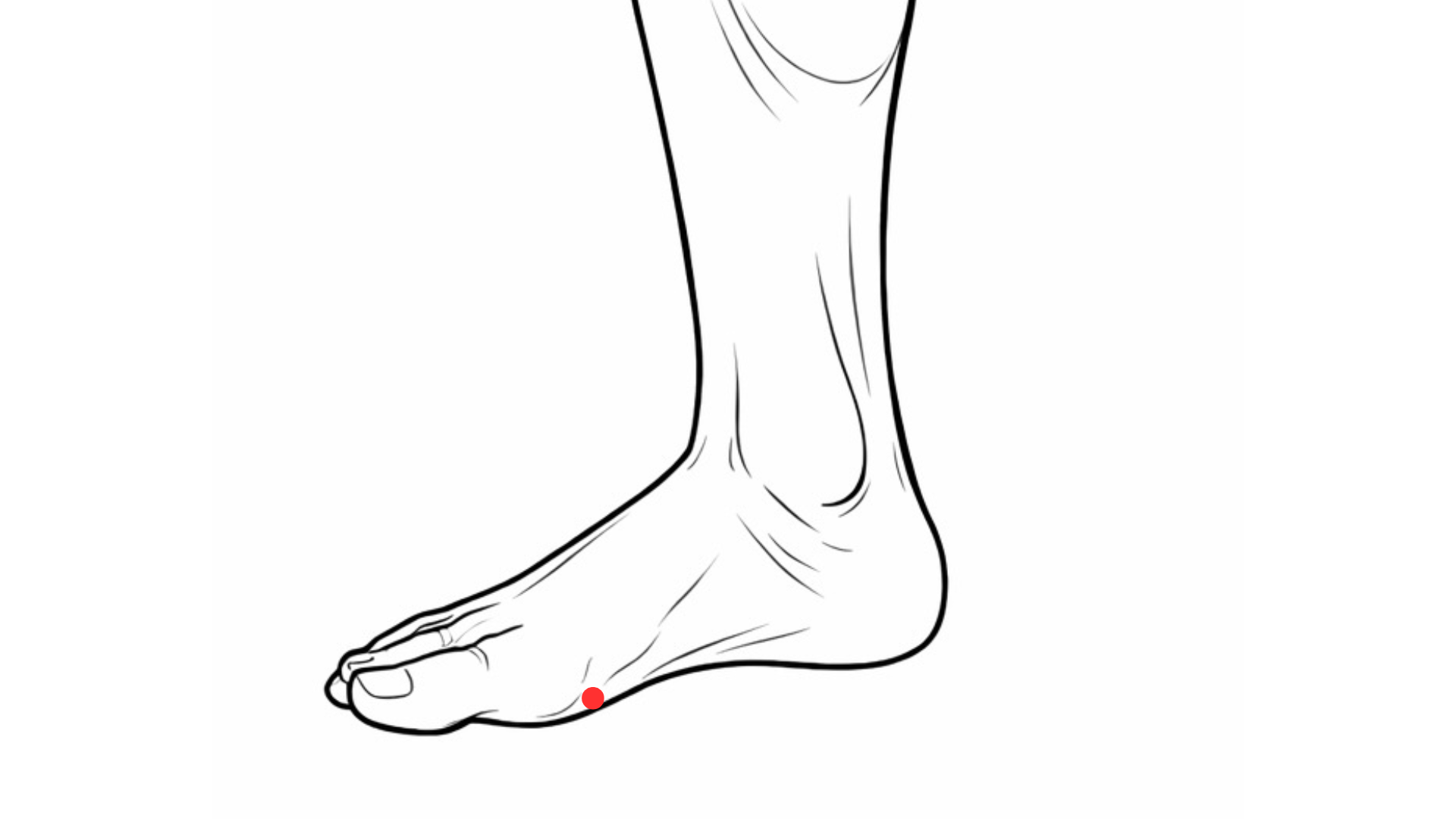 point acupuncture 3Rt Taibai pied bord interne localisation médecine chinoise