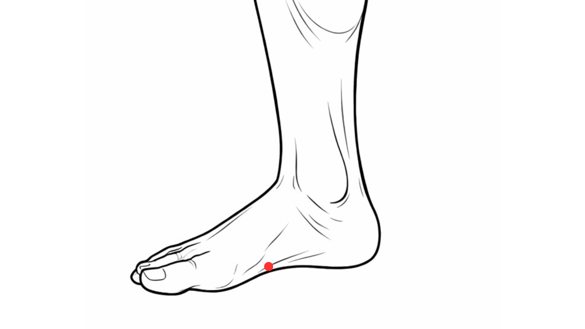 Point d’acupuncture 4Rt Gongsun localisation pied médecine chinoise
