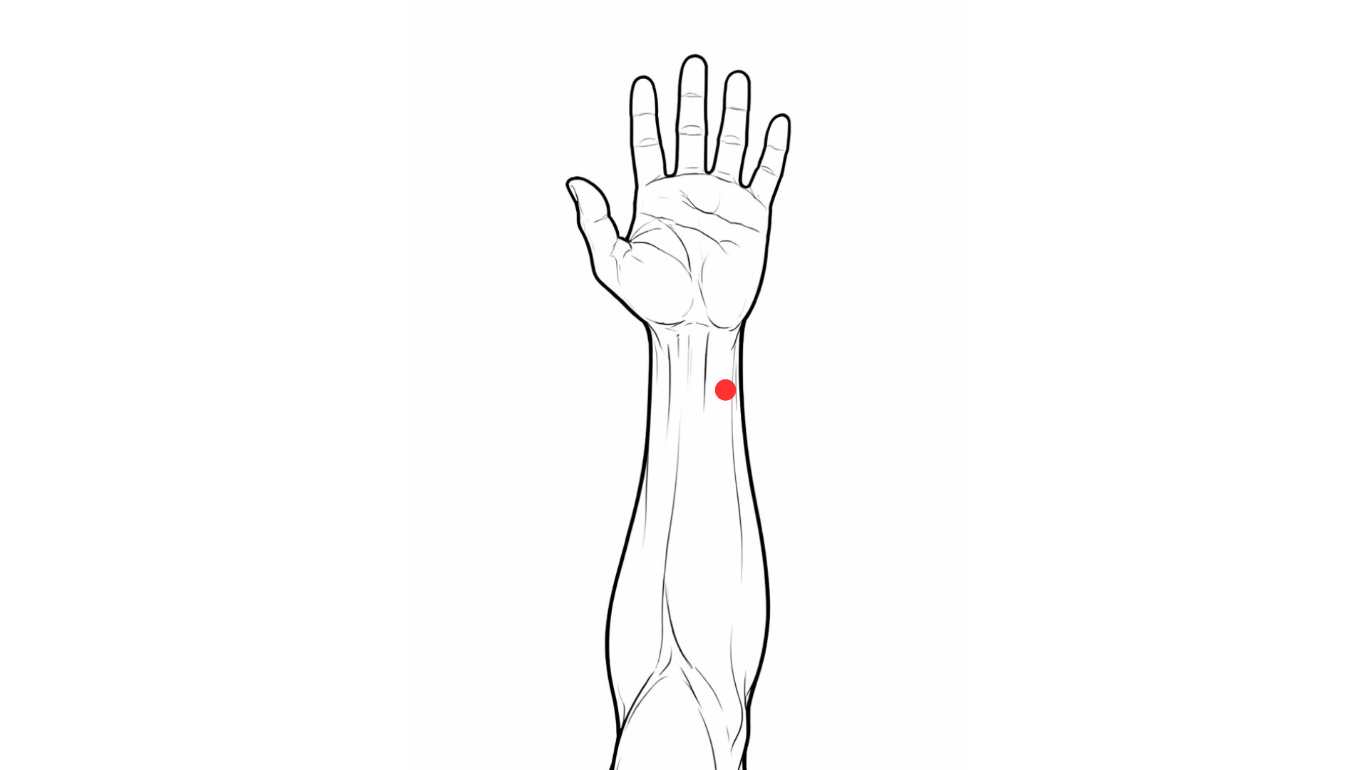 Texte alternatif : point acupuncture 5 cœur poignet localisation